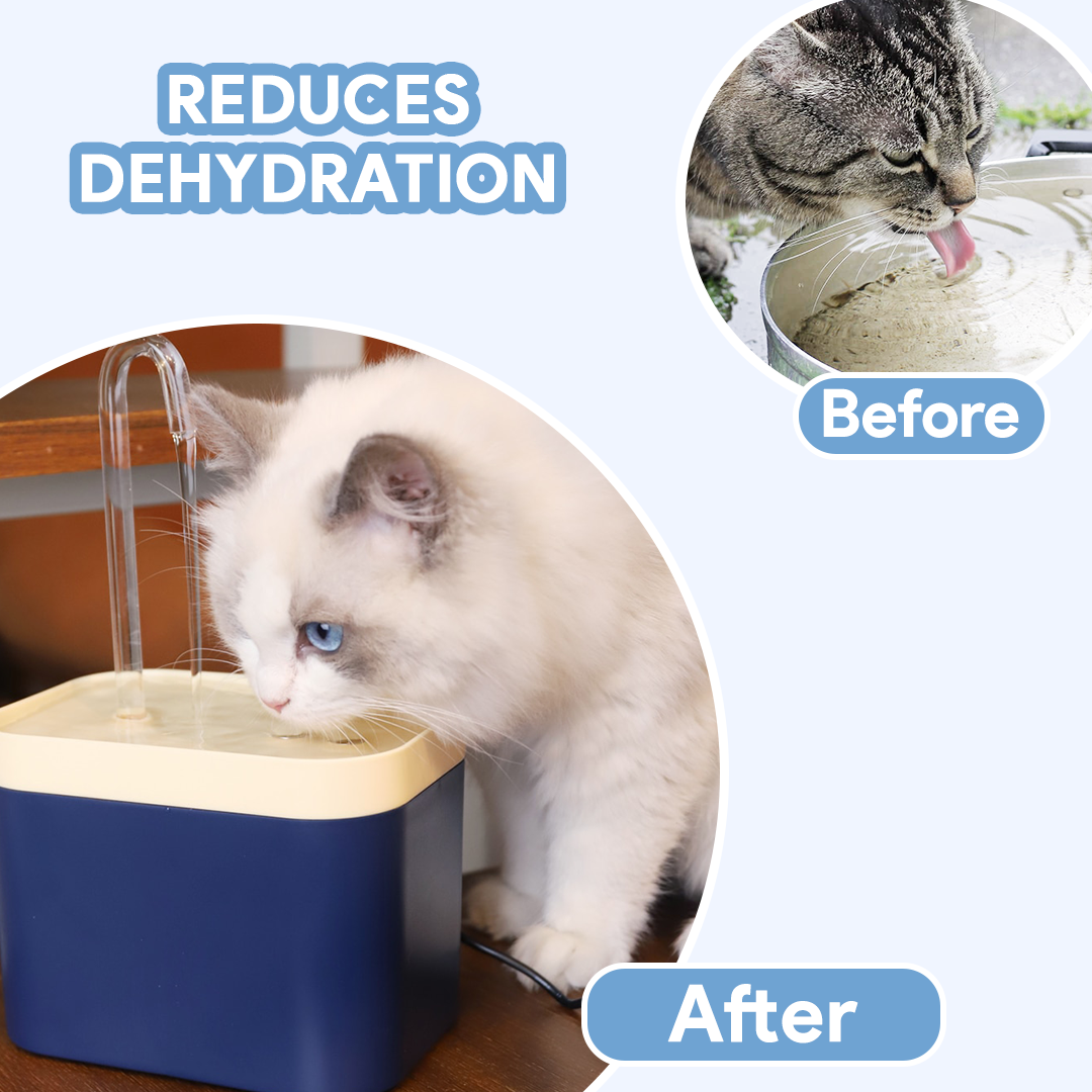 Cat Fountain with Waterflow™ Filter